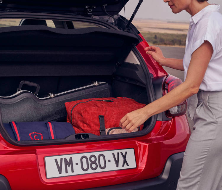 Багажник Citroen C3